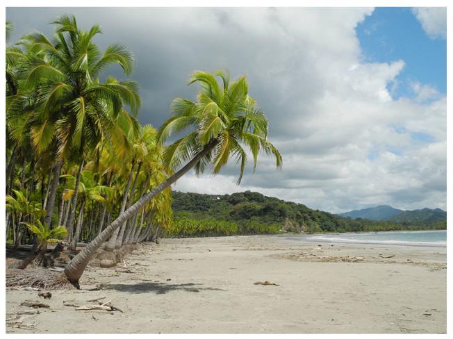 COSTA RICA NATURALEZA, PLAYA Y CULTURA - AÉREO 2025