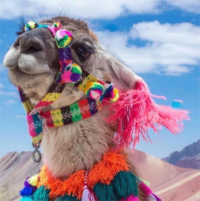 NOROESTE COMPLETÍSIMO -  CARNAVAL 2026